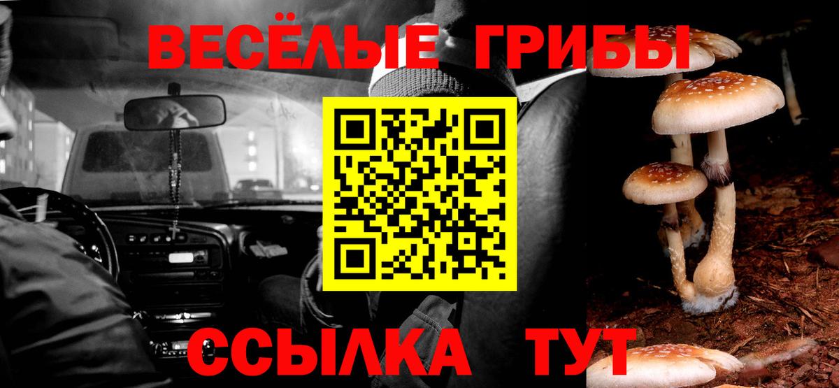 Галлюциногенные грибы GOLDEN TEACHER  Псилоцибиновые грибы ЛСД  Кингисепп  Вход с VPN 